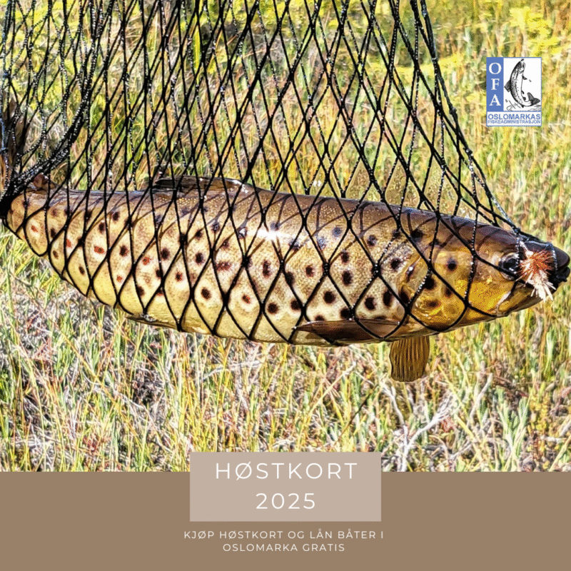 Høstkort 2025 fra 1.09 - 31.12