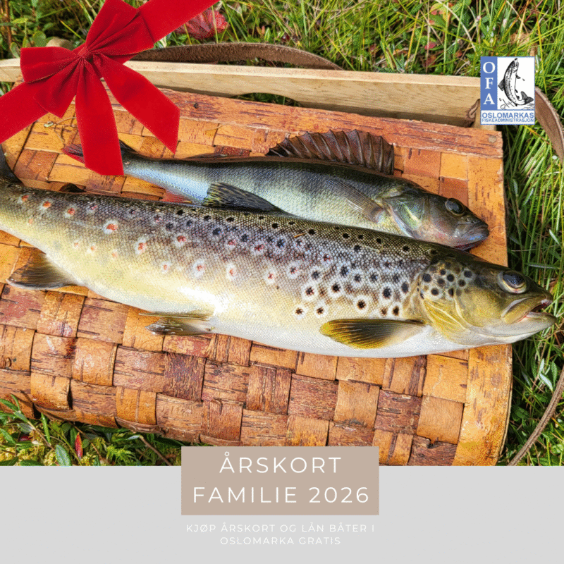 OFA Årskort, Familie 2026