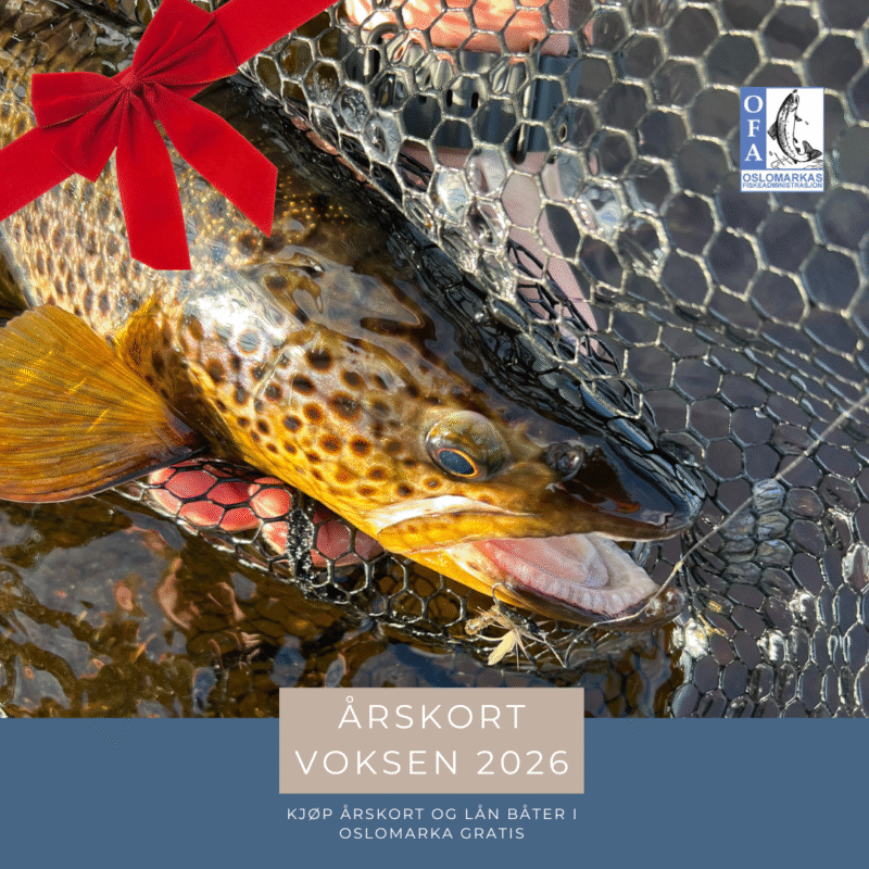 OFA Årskort, Voksen 2026