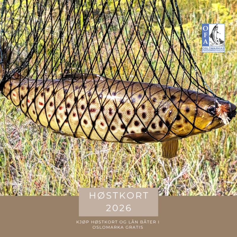 Høstkort 2026 fra 1.09 - 31.12