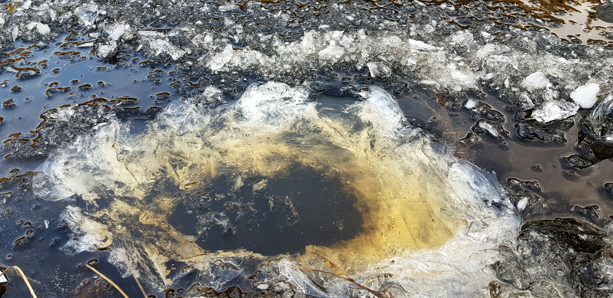 Read more about the article Snart isfiskesesong i marka