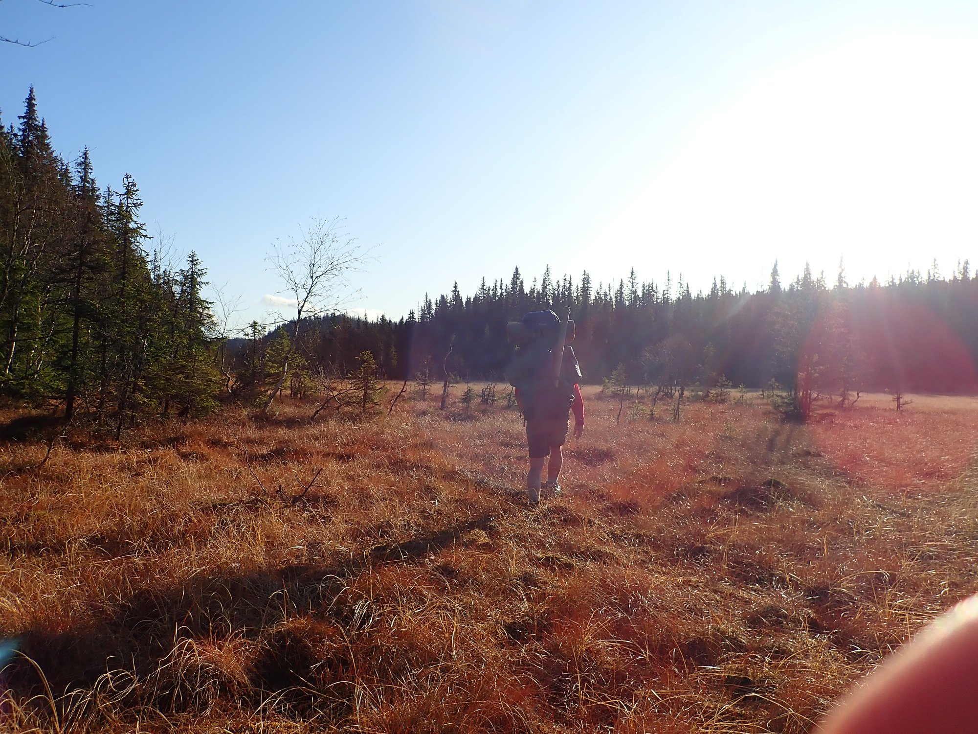 På myra inn mot Finnvatnet i nord, mer vann enn vanlig.